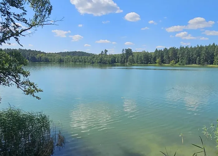 منتجع Lesna Parteczyny